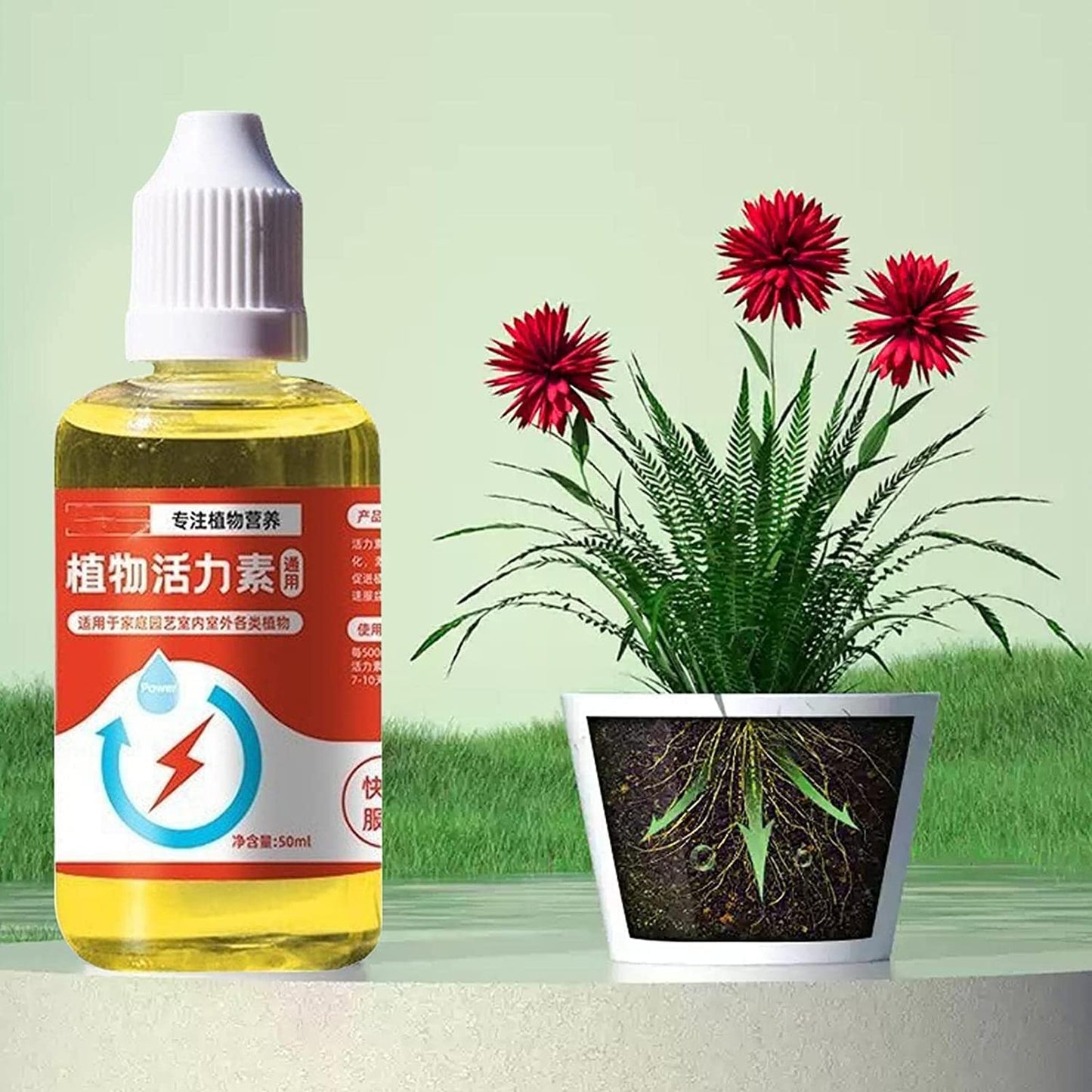🌱🌱💥【Купете 2, вземете 1 безплатно】Трансферен разтвор, който насърчава растежа на растенията.