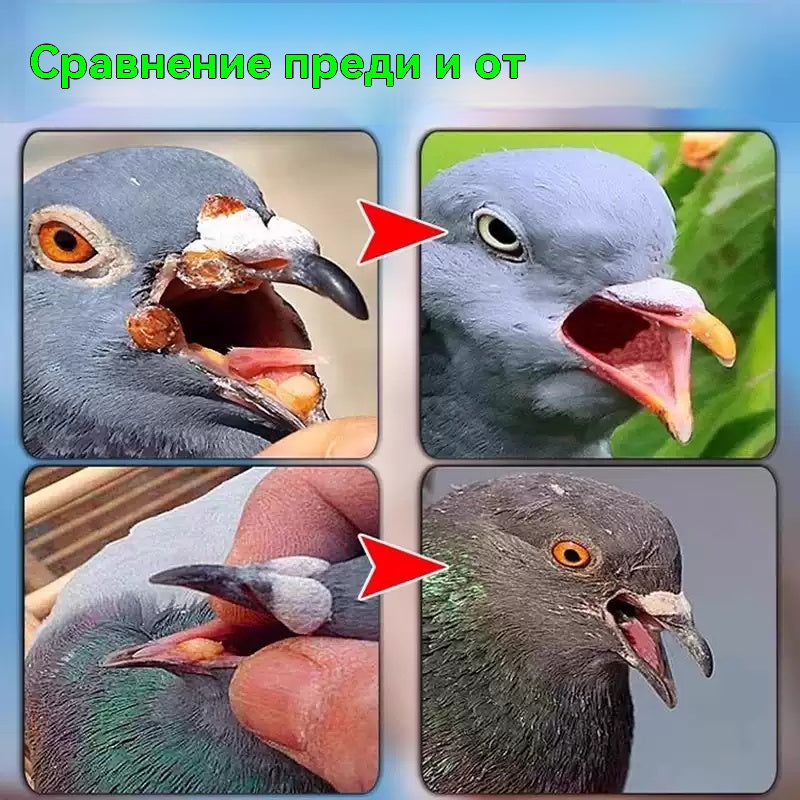 🕊️🕊️100 таблетки, специално лекарство за състезателни гълъби, 6 в 1 лечение за гълъби - бързо заздравяване, значителни резултати!