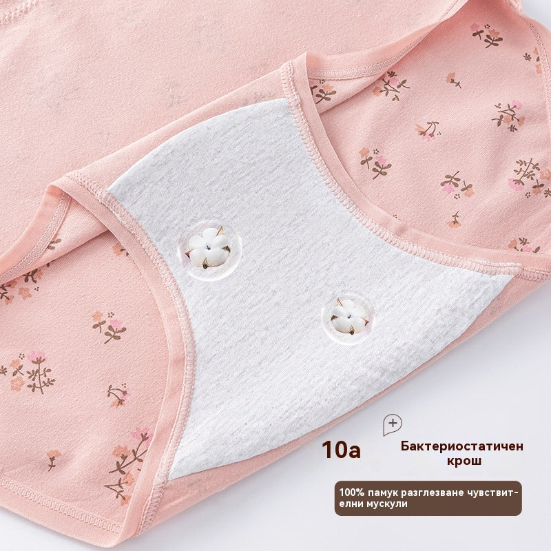 【5 артикула】【40-105kg】Дамско бельо от чист памук с висока талия, големи размери, екстра дълго