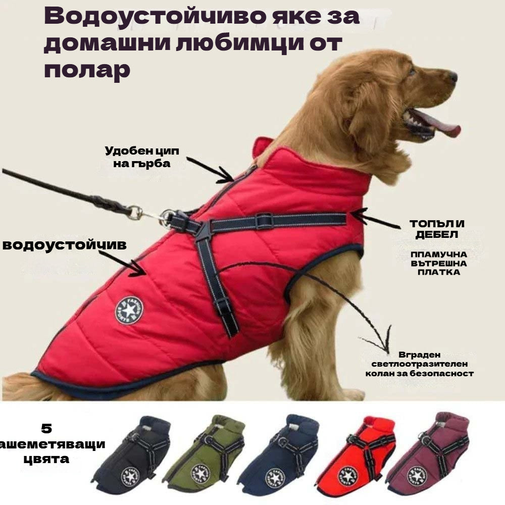 【50% отстъпка】Есенни и зимни ски дрехи за домашни любимци, водоустойчиво и топло памучно яке за кучета