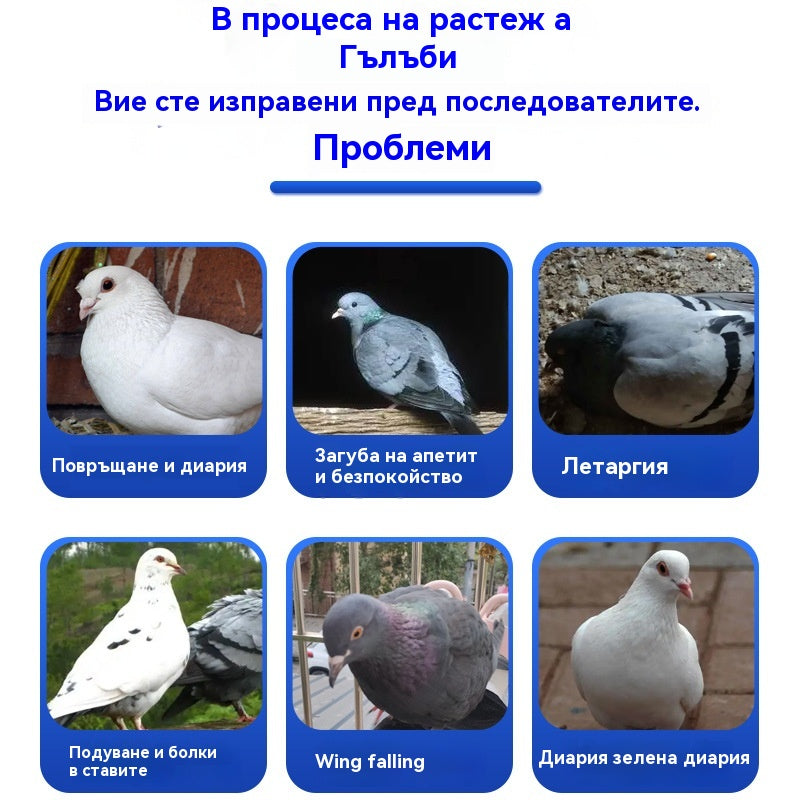 🕊️🕊️100 таблетки, специално лекарство за състезателни гълъби, 6 в 1 лечение за гълъби - бързо заздравяване