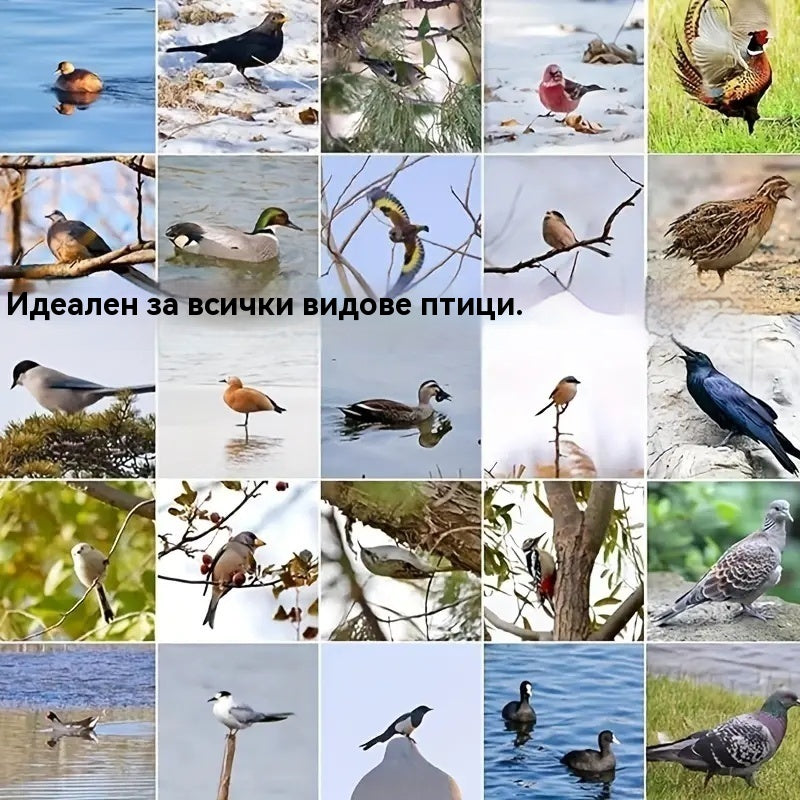 🐓🐦🔥【1 комплект от 4 части】Външен пружинен капан, самозаключващ се капан с висока чувствителност