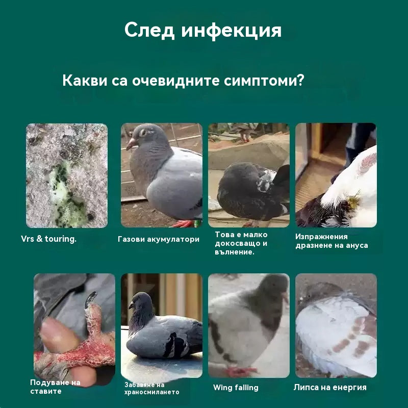 🕊️🕊️100 таблетки, специално лекарство за състезателни гълъби, 6 в 1 лечение за гълъби - бързо заздравяване, значителни резултати!