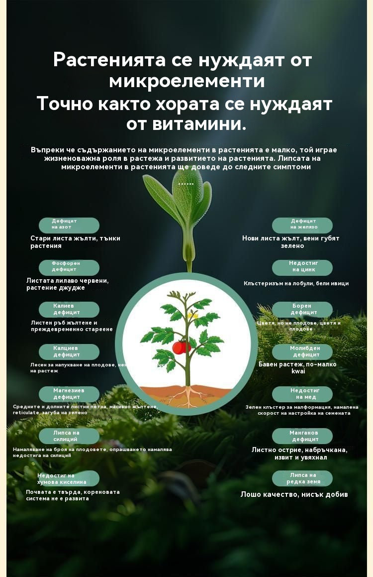 🍎🥔🧄【10 торби】Разтворим листен тор "Вълшебен картоф"｜За картофи, фъстъци, сладки картофи, репички, таро и лук - стимулира корените, увеличава производството.