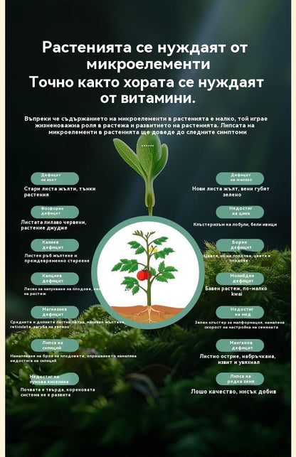 🍎🥔🧄【10 торби】Разтворим листен тор "Вълшебен картоф"｜За картофи, фъстъци, сладки картофи, репички, таро и лук - стимулира корените, увеличава производството.