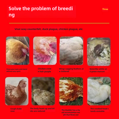 🐔🦆🪿Особено ефективно лекарство против грип за кокошки, патици, гъски и домашни птици