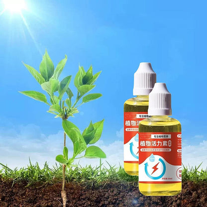 🌱🌱💥【Купете 2, вземете 1 безплатно】Трансферен разтвор, който насърчава растежа на растенията.