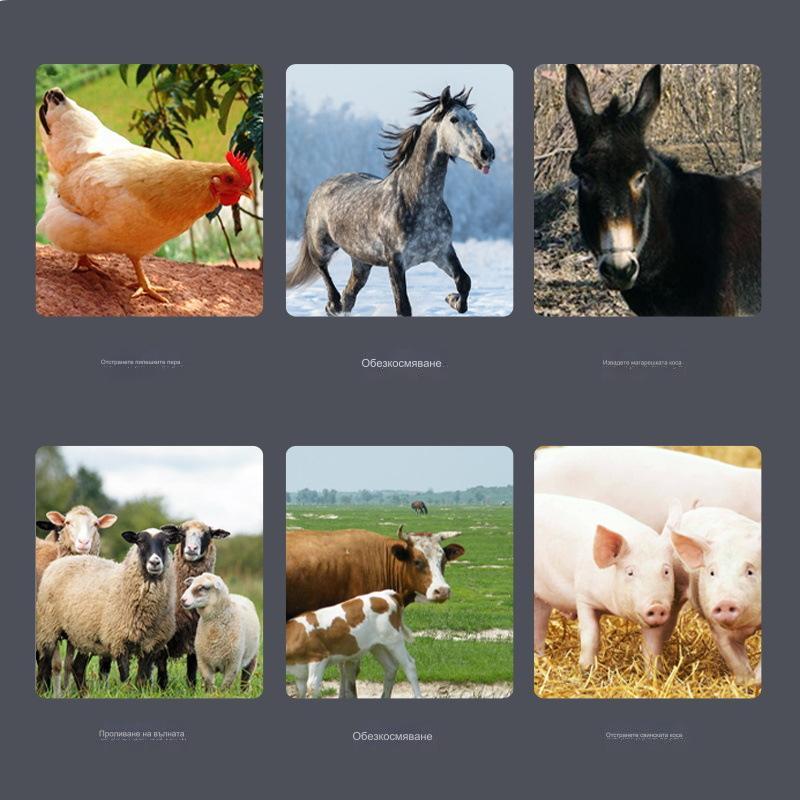 🐖🐂🐏🐓【Купете 1, вземете 1 безплатно】Режещ диск за ъглошлайф от неръждаема стомана - специално острие за обезкосмяване на прасета, говеда и овце