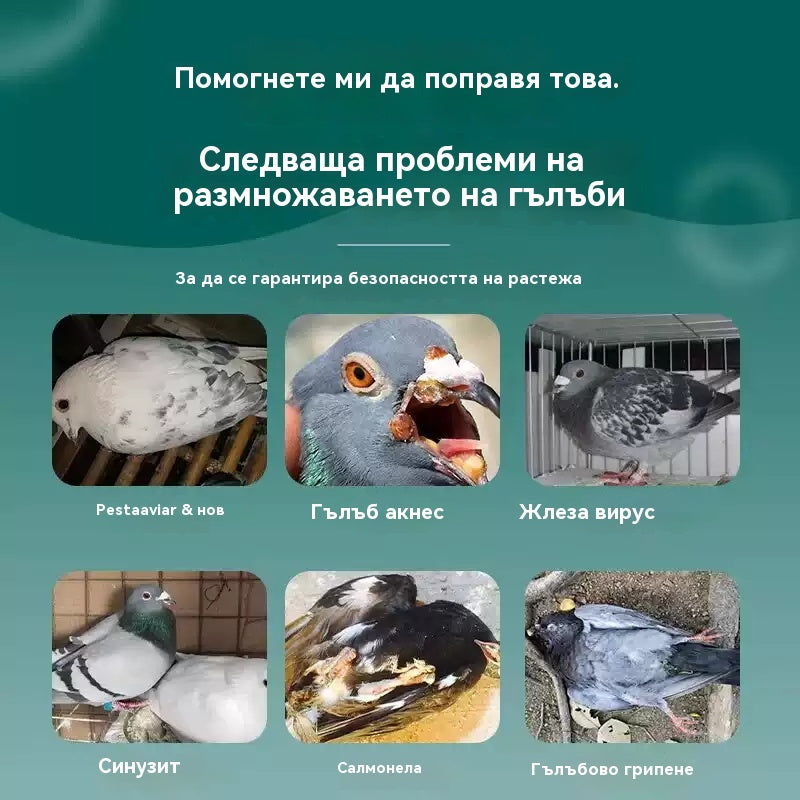 🕊️🕊️100 таблетки, специално лекарство за състезателни гълъби, 6 в 1 лечение за гълъби - бързо заздравяване, значителни резултати!