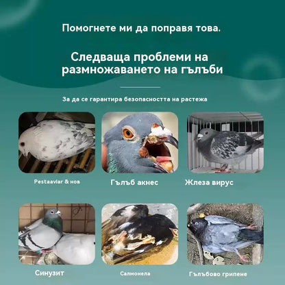 🕊️🕊️100 таблетки, специално лекарство за състезателни гълъби, 6 в 1 лечение за гълъби - бързо заздравяване, значителни резултати!
